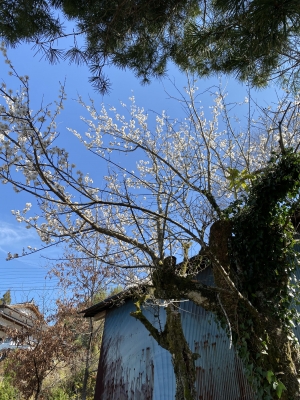 福島県相馬とのご縁