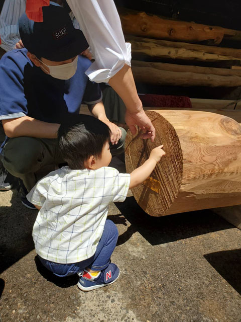 大黒柱を選ぶ