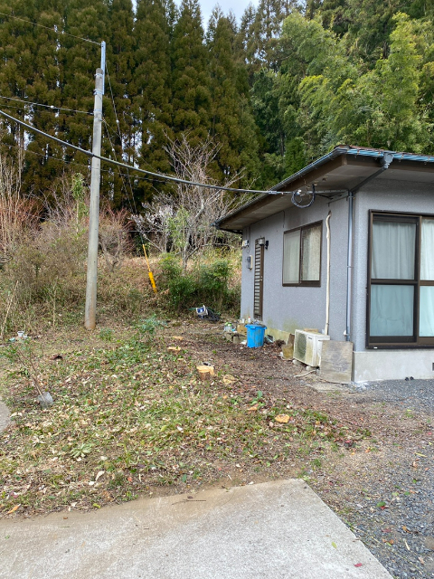 立木伐採 -大分県豊後大野市-